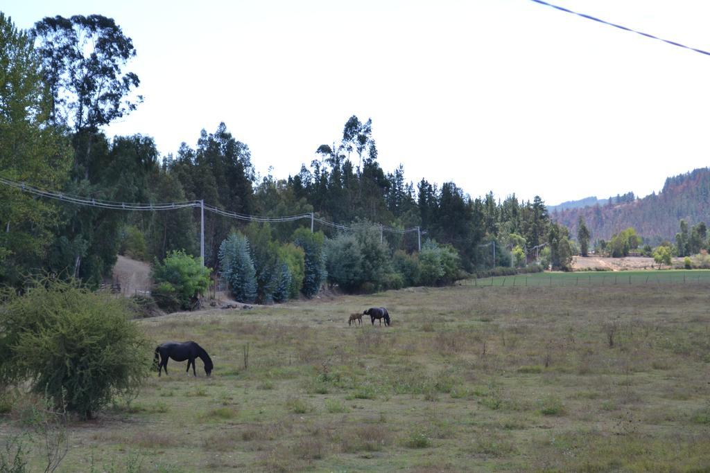 Costa Casa de férias Vichuquén